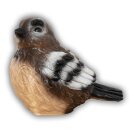 CP Spatz