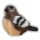 CP Spatz
