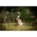 CP stehende Ente