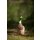 CP stehende Ente