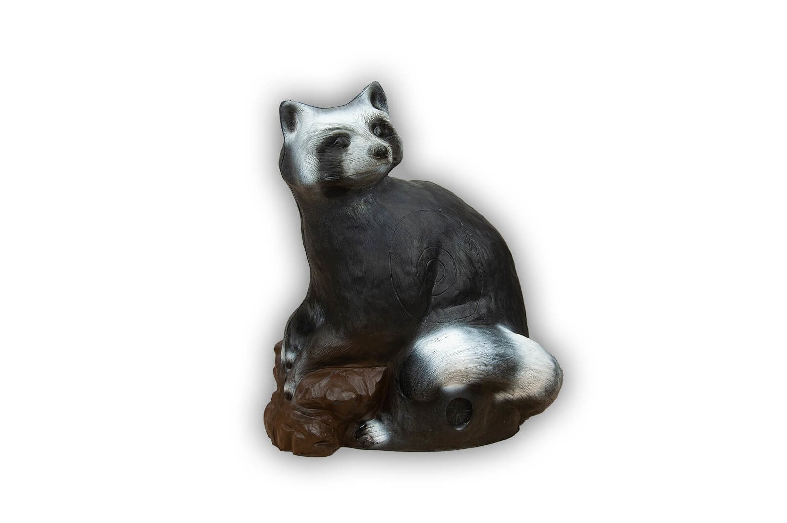 Waschbär