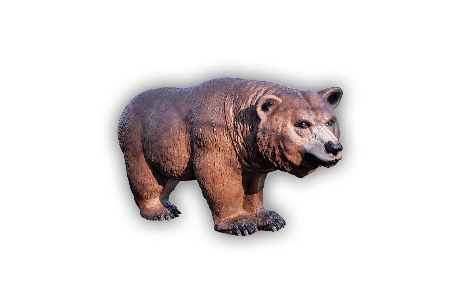 Grizzly / Bär