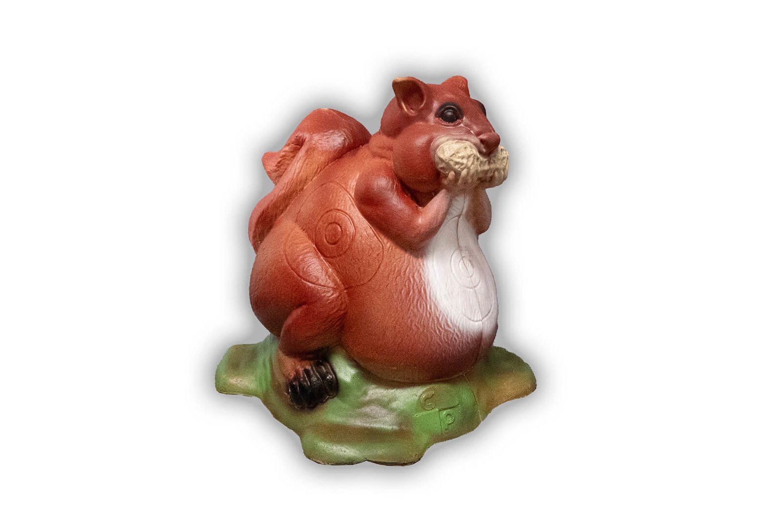 Eichhörnchen