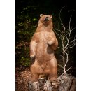 CP kleiner stehender Bär