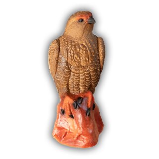 CP Bussard