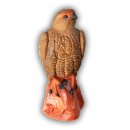 CP Bussard