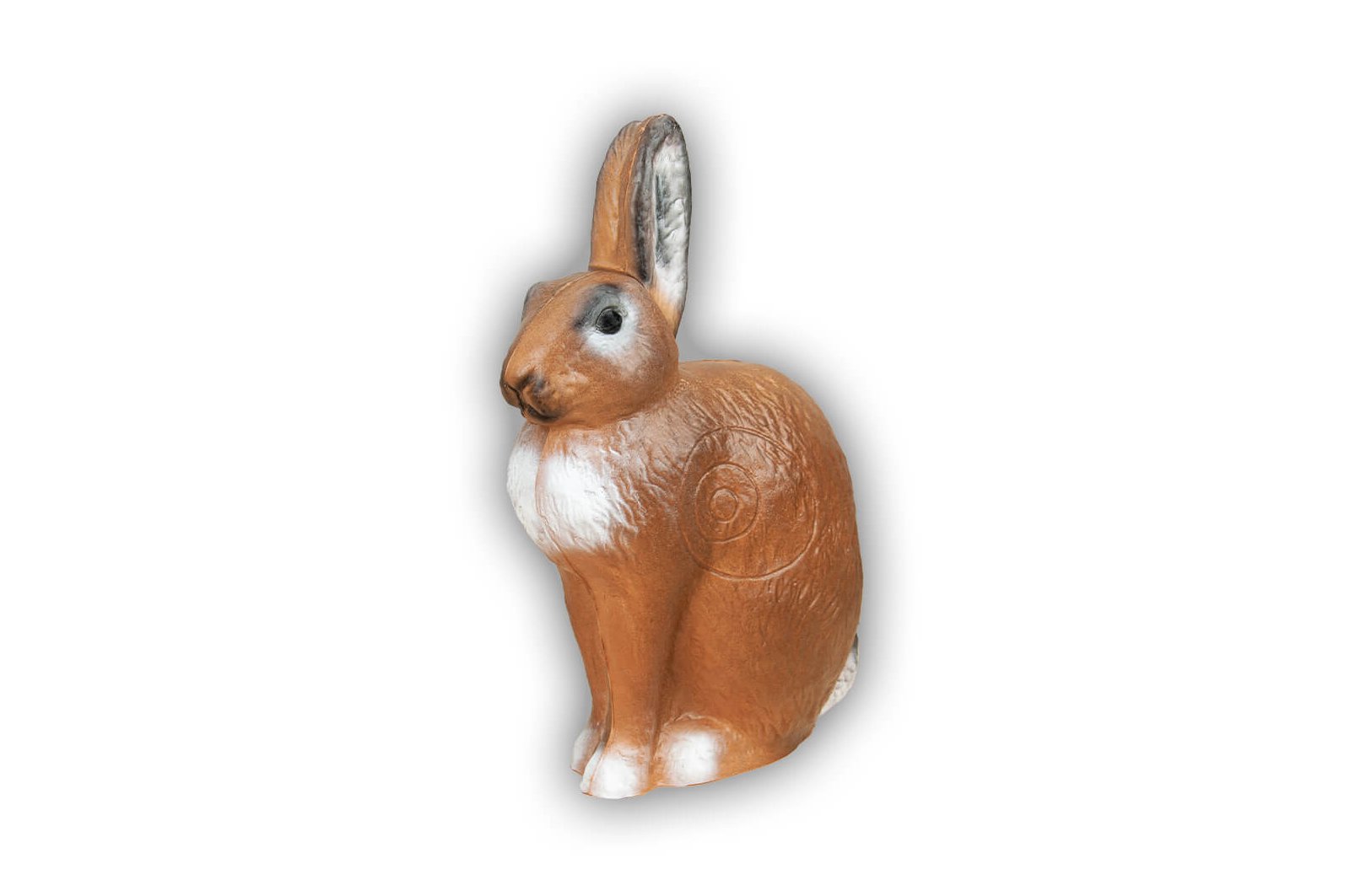 Hase